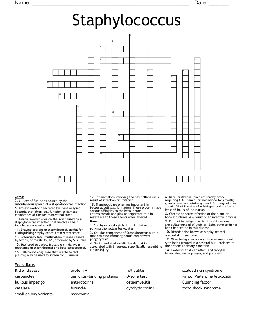 Staphylococcus Crossword