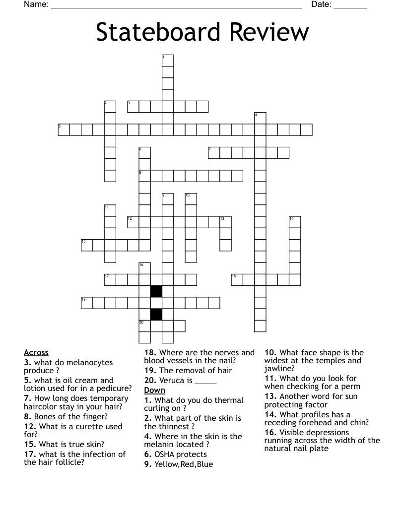Stateboard Review Crossword