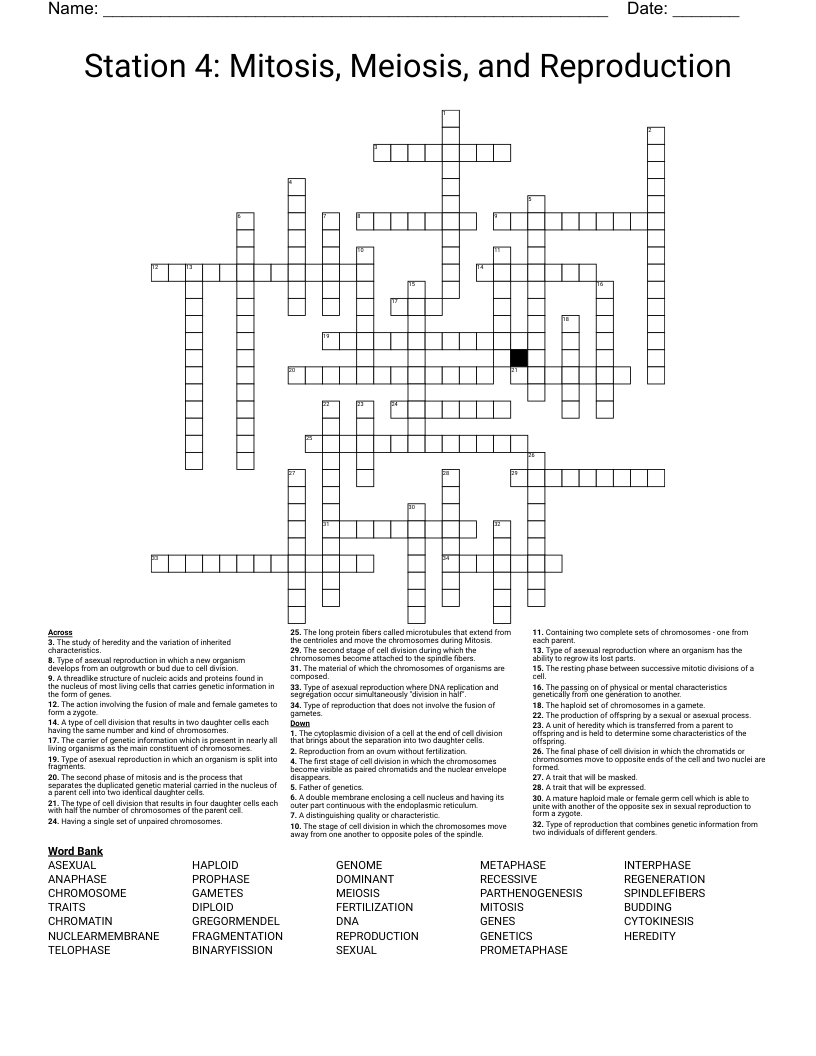 Station 4: Mitosis, Meiosis, and Reproduction Crossword
