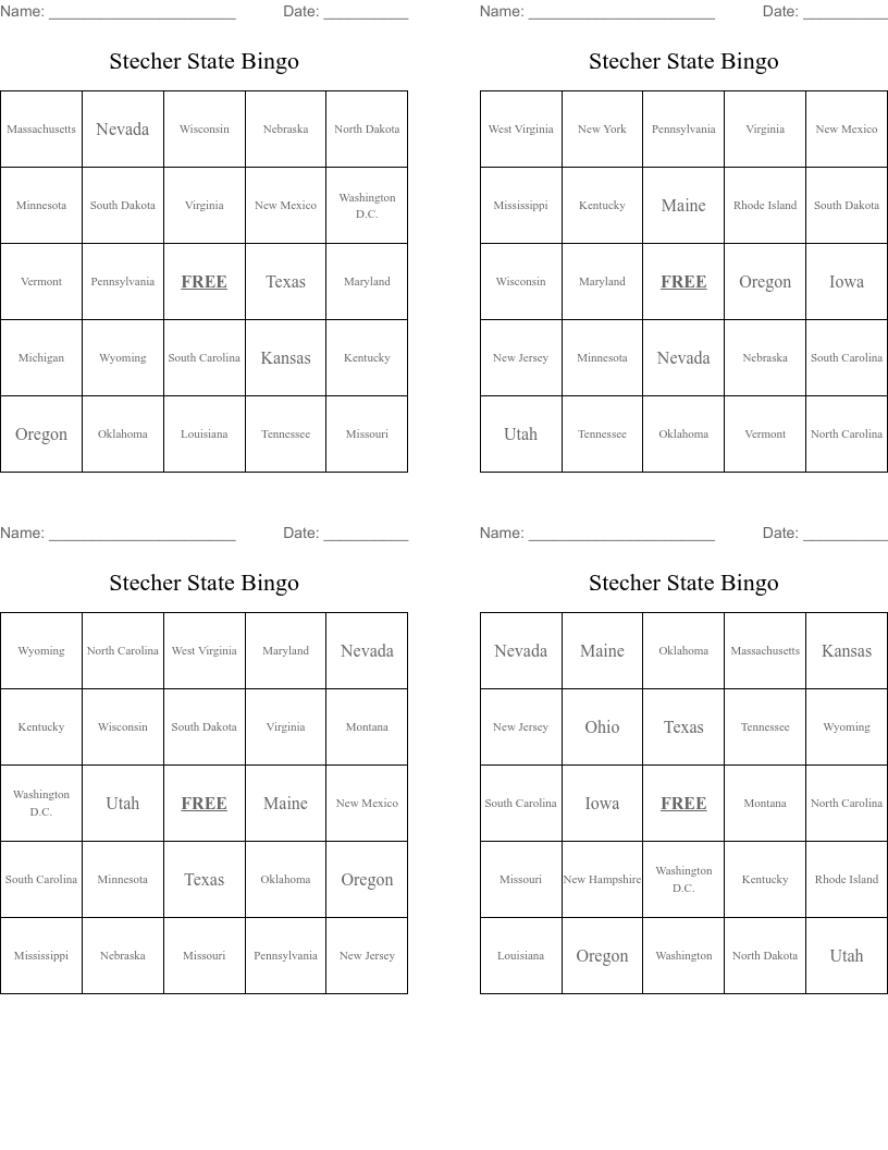 Stecher State Bingo