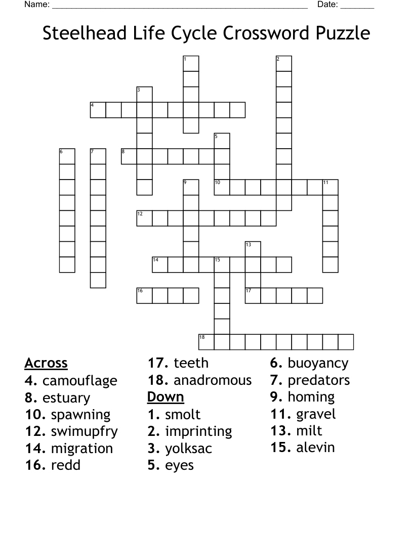 Steelhead Life Cycle Crossword Puzzle