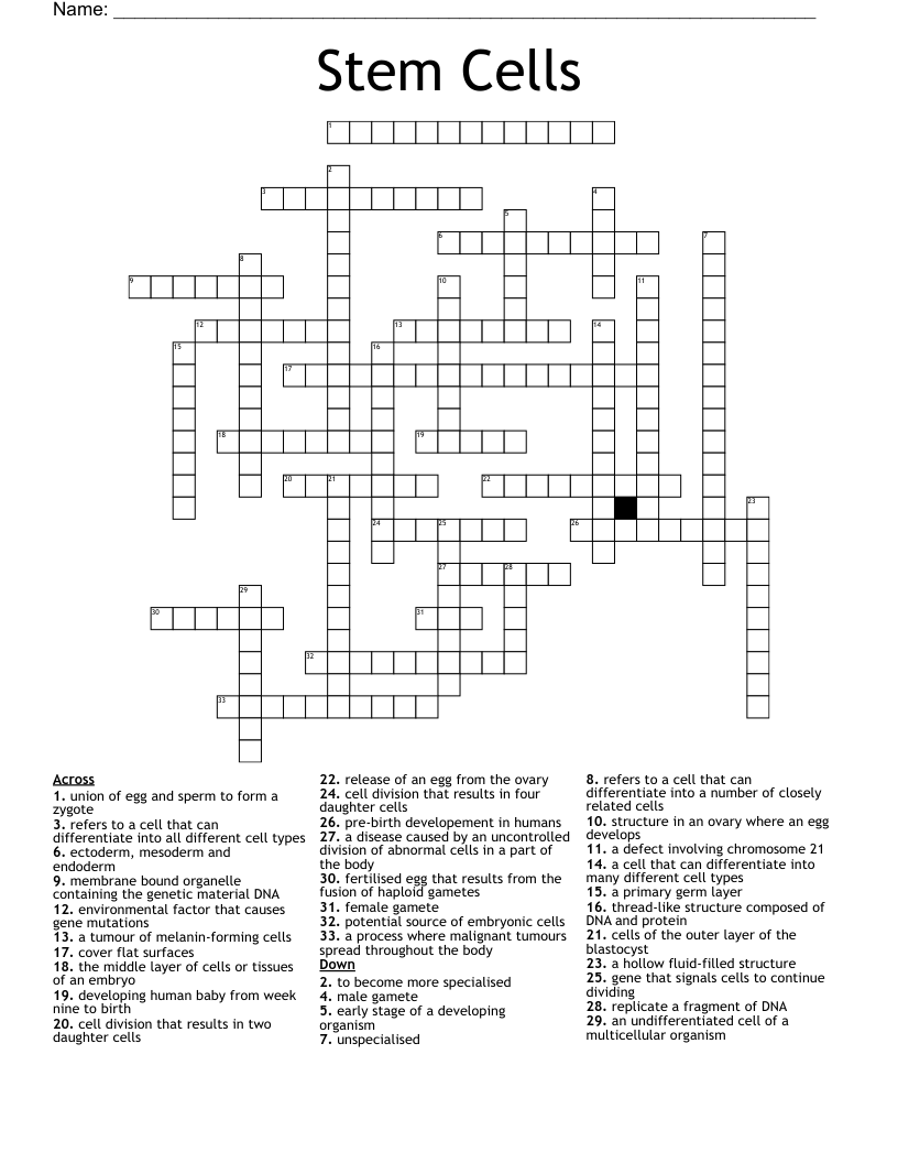 Stem Cells Crossword