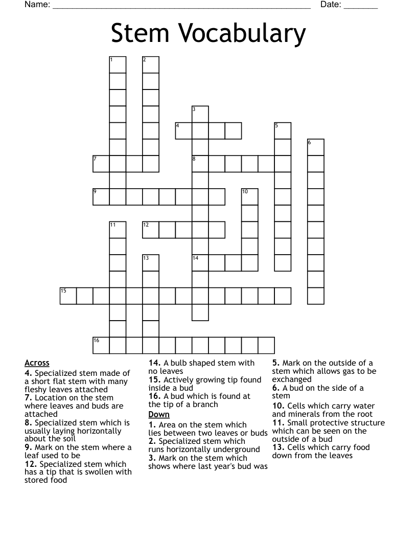 Stem Vocabulary Crossword
