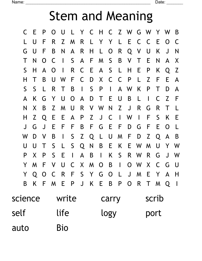 Stem and Meaning  Word Search