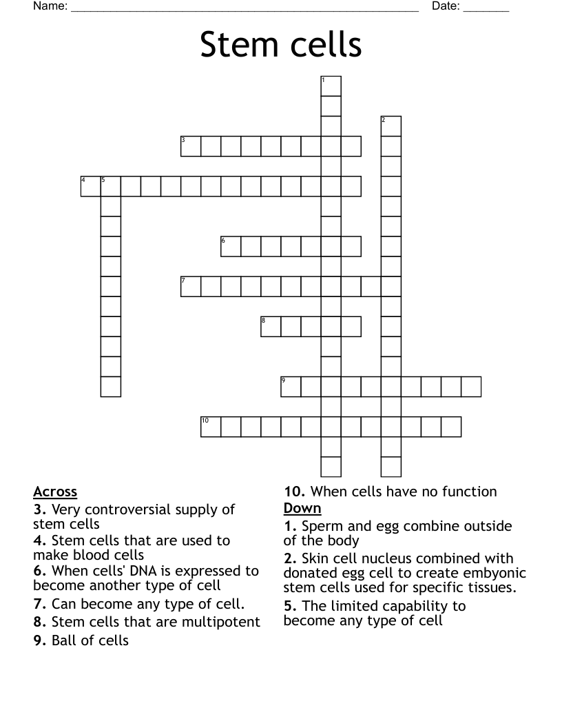 Stem cells Crossword
