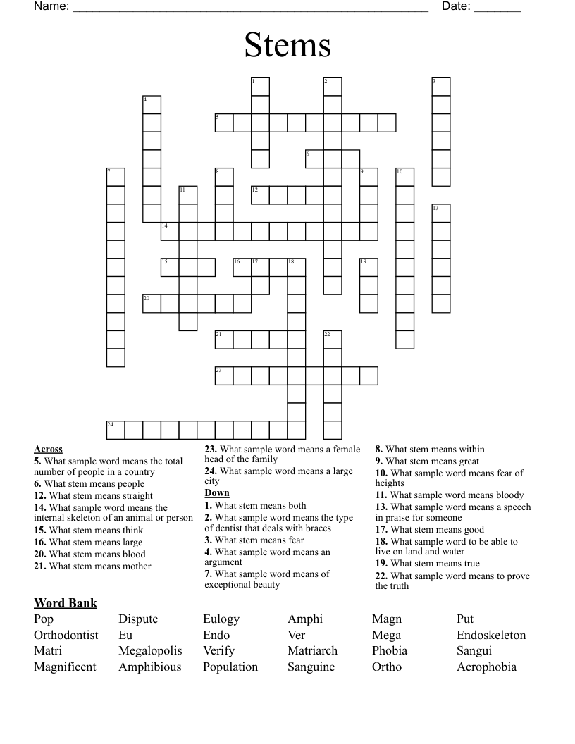 Stems Crossword