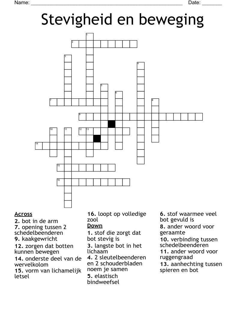 Stevigheid en beweging Crossword