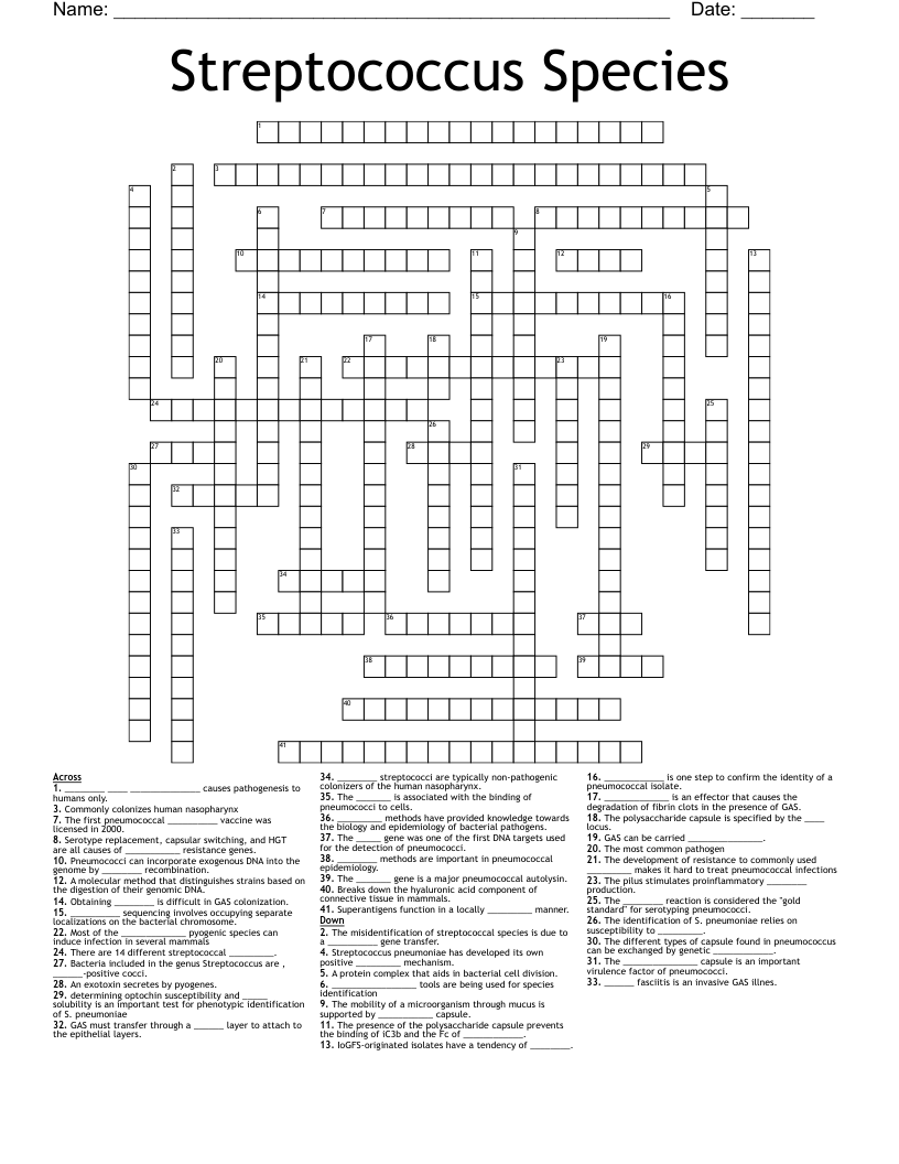 Streptococcus Species Crossword
