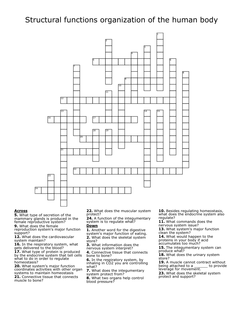 Structural functions organization of the human body Crossword