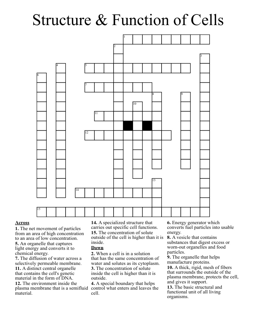 Structure & Function of Cells Crossword