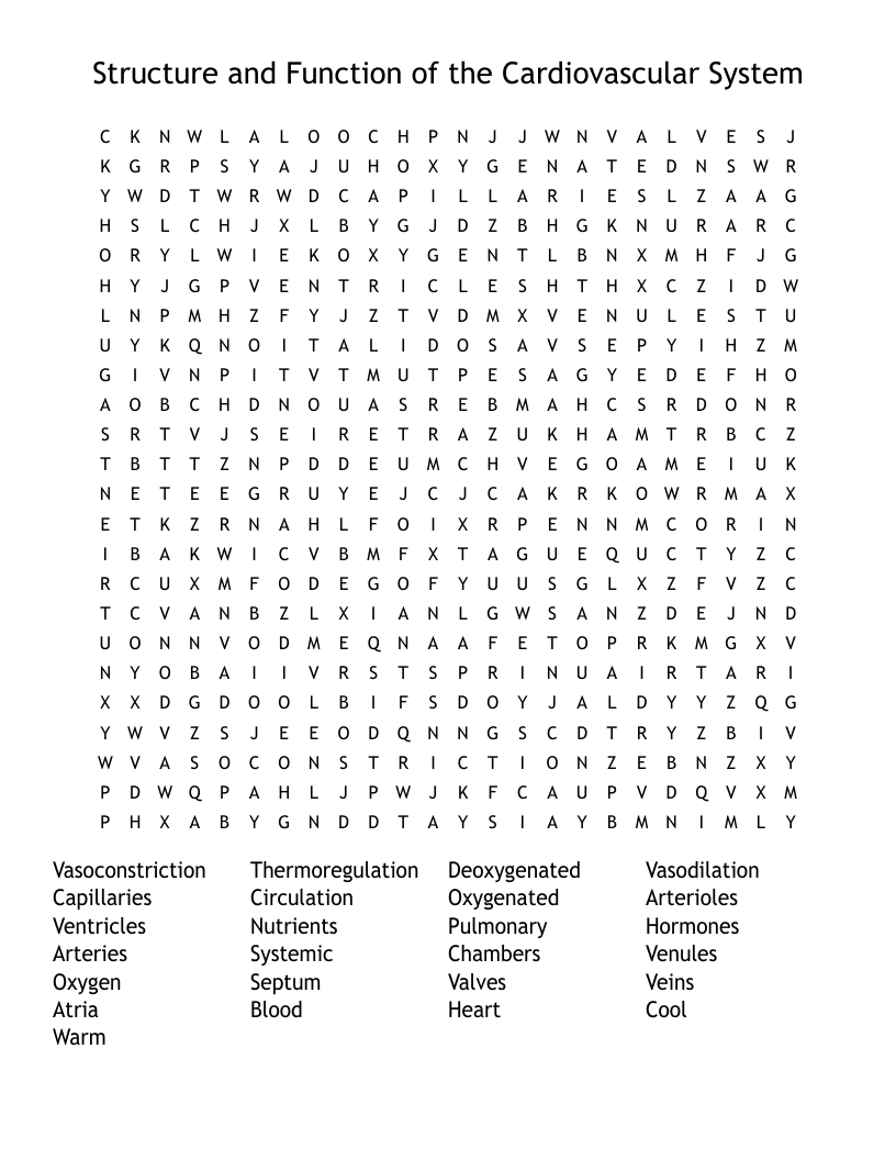 Structure and Function of the Cardiovascular System Word Search