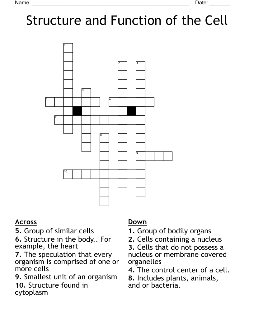 Structure and Function of the Cell Crossword