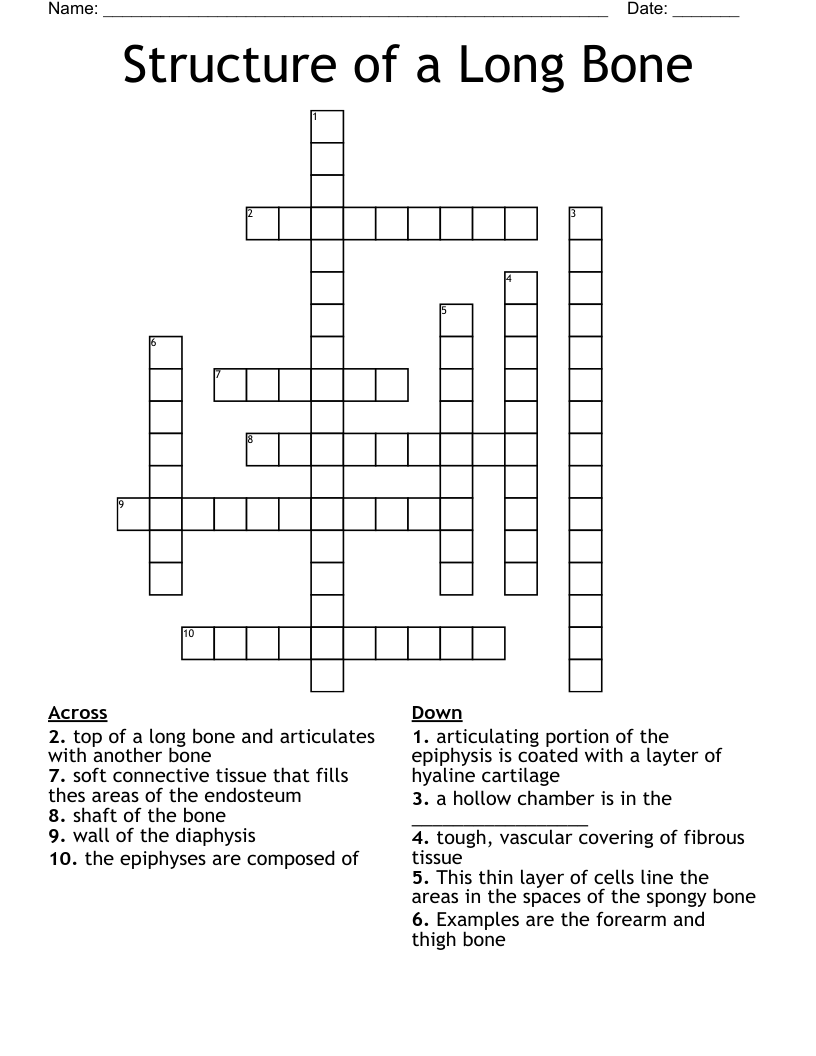 Structure of a Long Bone Crossword