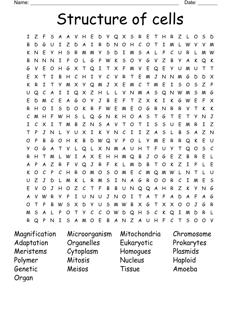 Structure of cells Word Search