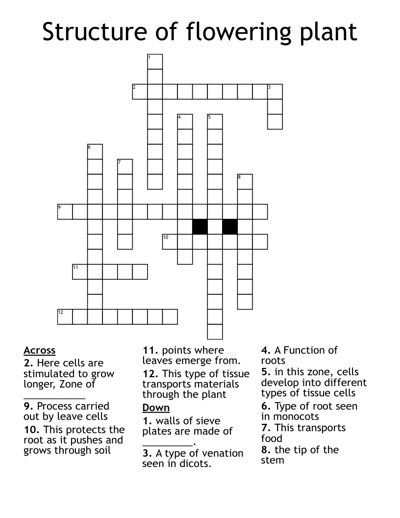 Structure of flowering plant Crossword