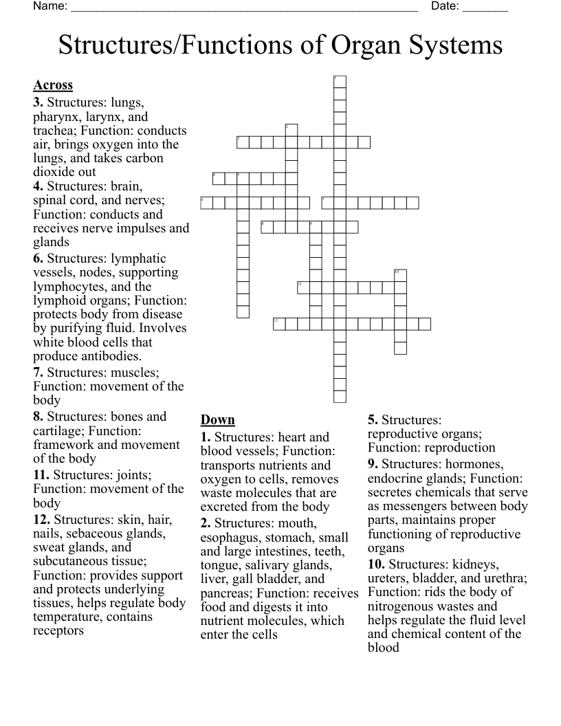 Structures/Functions of Organ Systems Crossword