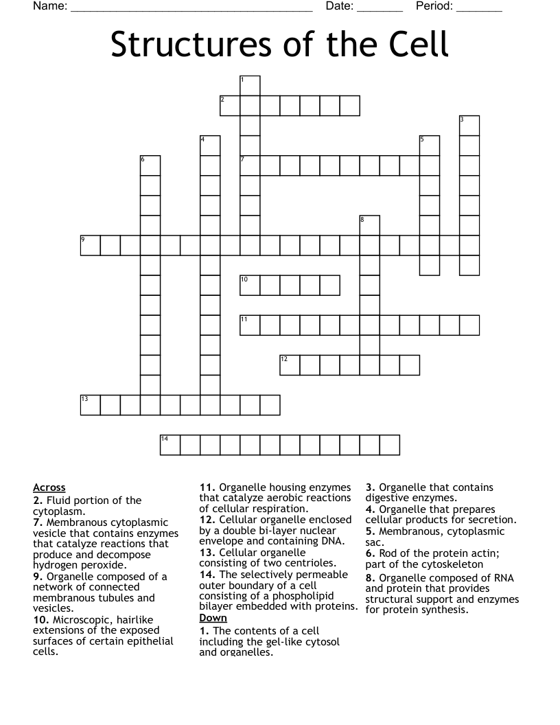 Structures of the Cell  Crossword