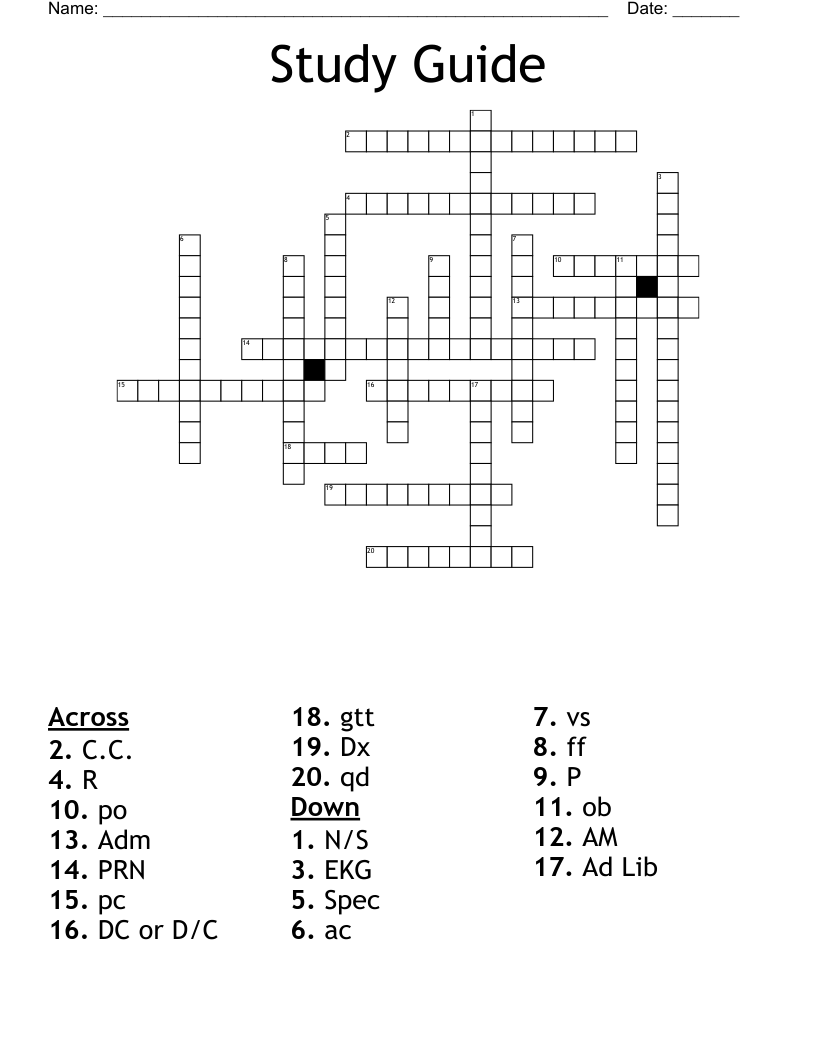 Study Guide Crossword