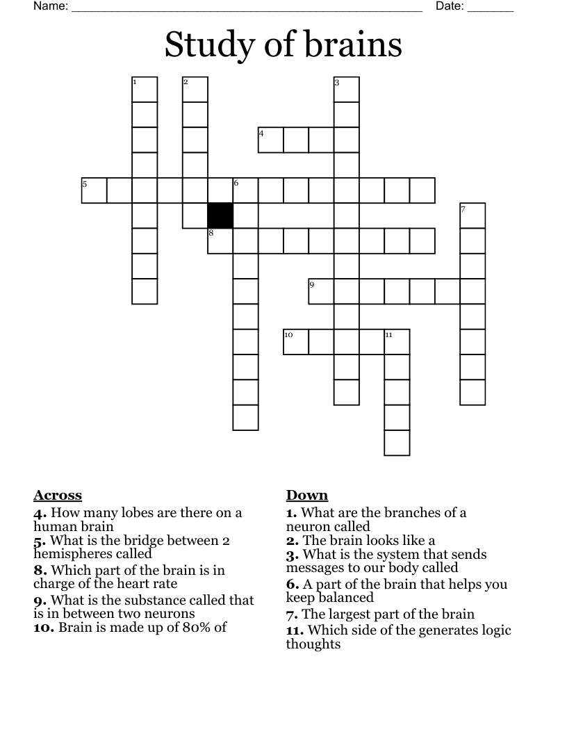 Study of brains Crossword
