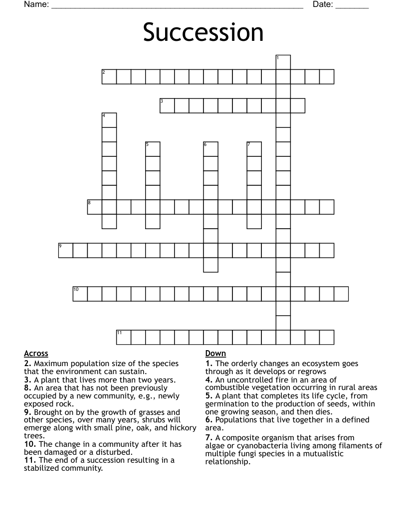 Succession  Crossword