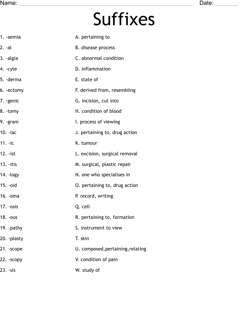 Suffixes Worksheet