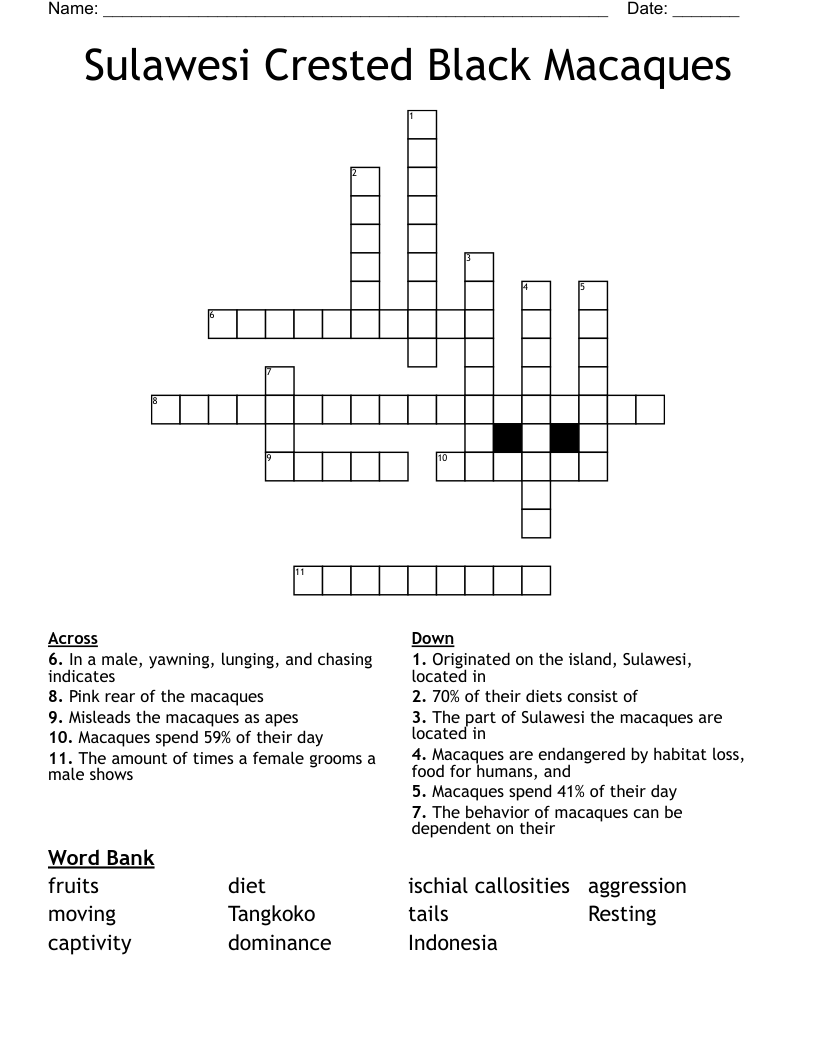 Sulawesi Crested Black Macaques Crossword