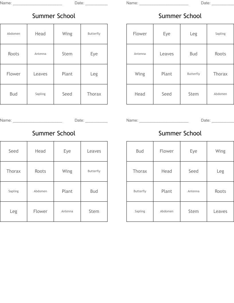 Summer School Bingo Cards