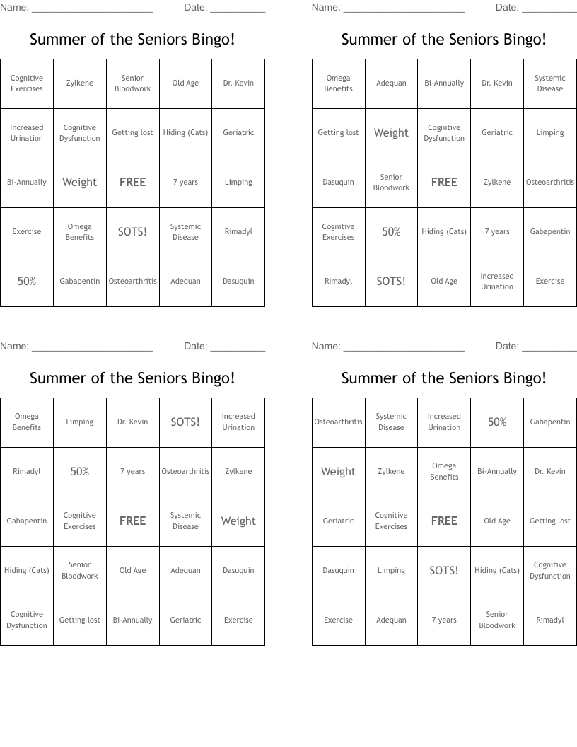 Summer of the Seniors Bingo!