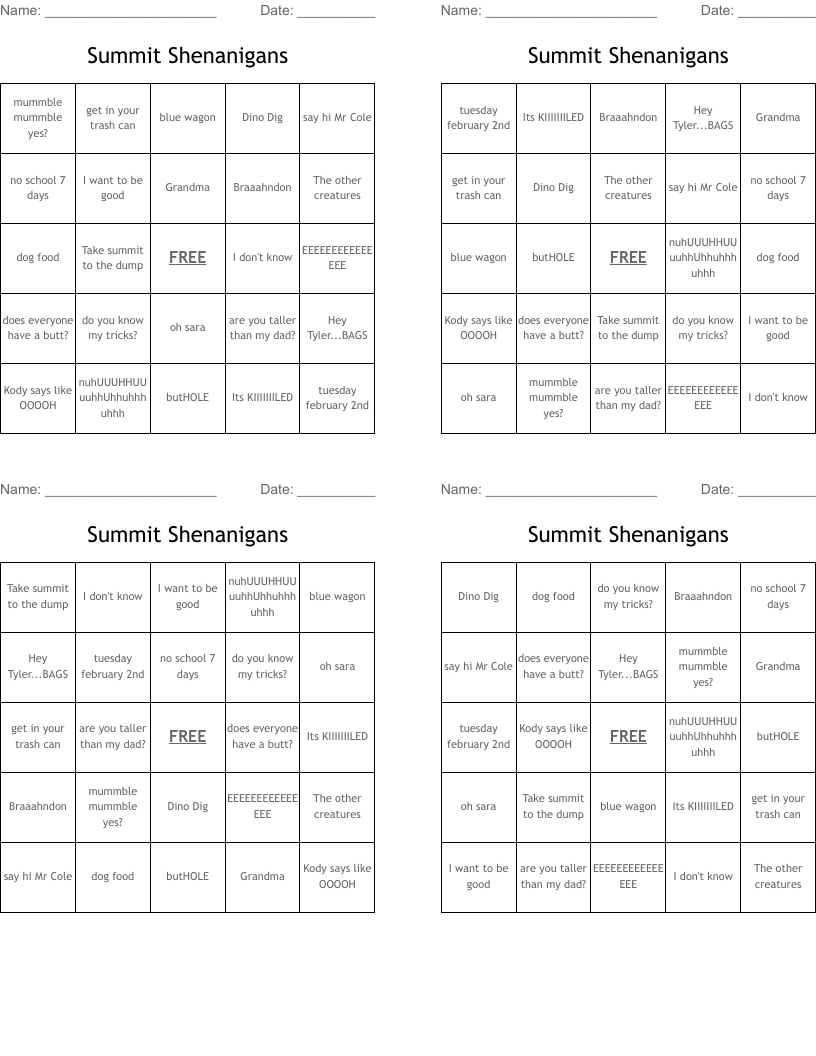 Summit Shenanigans Bingo Cards