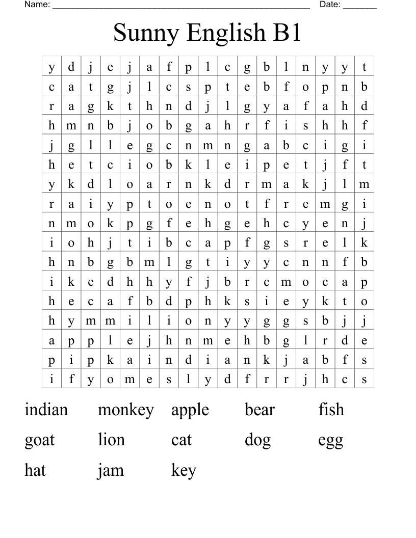 Sunny English B1 Word Search