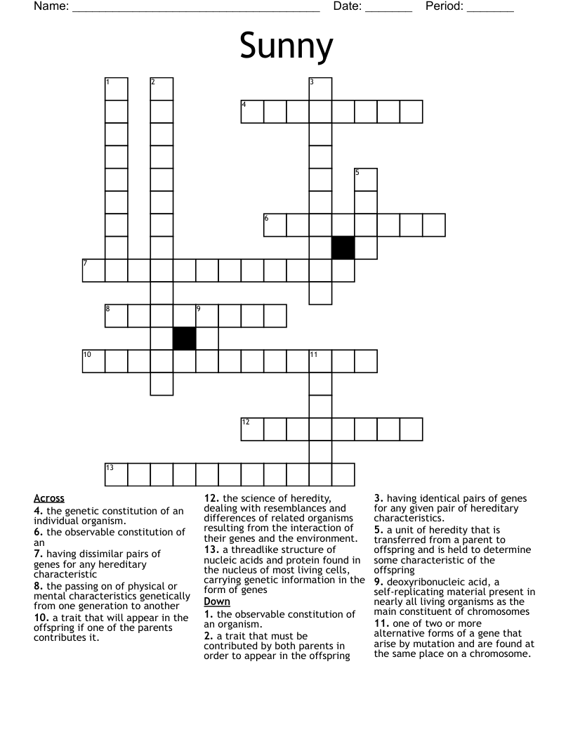 Sunny  Crossword