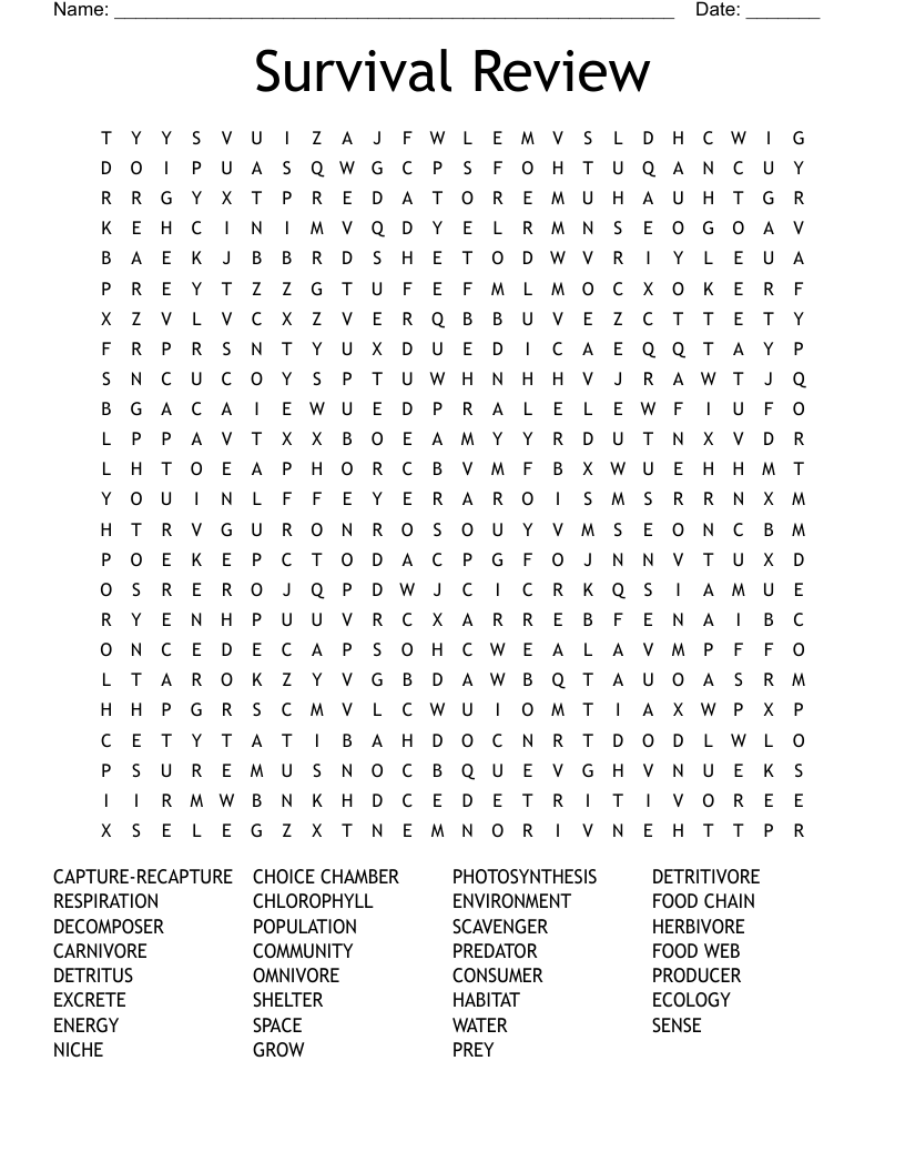 Survival Review Word Search