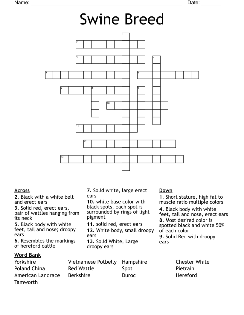 Swine Breed Crossword
