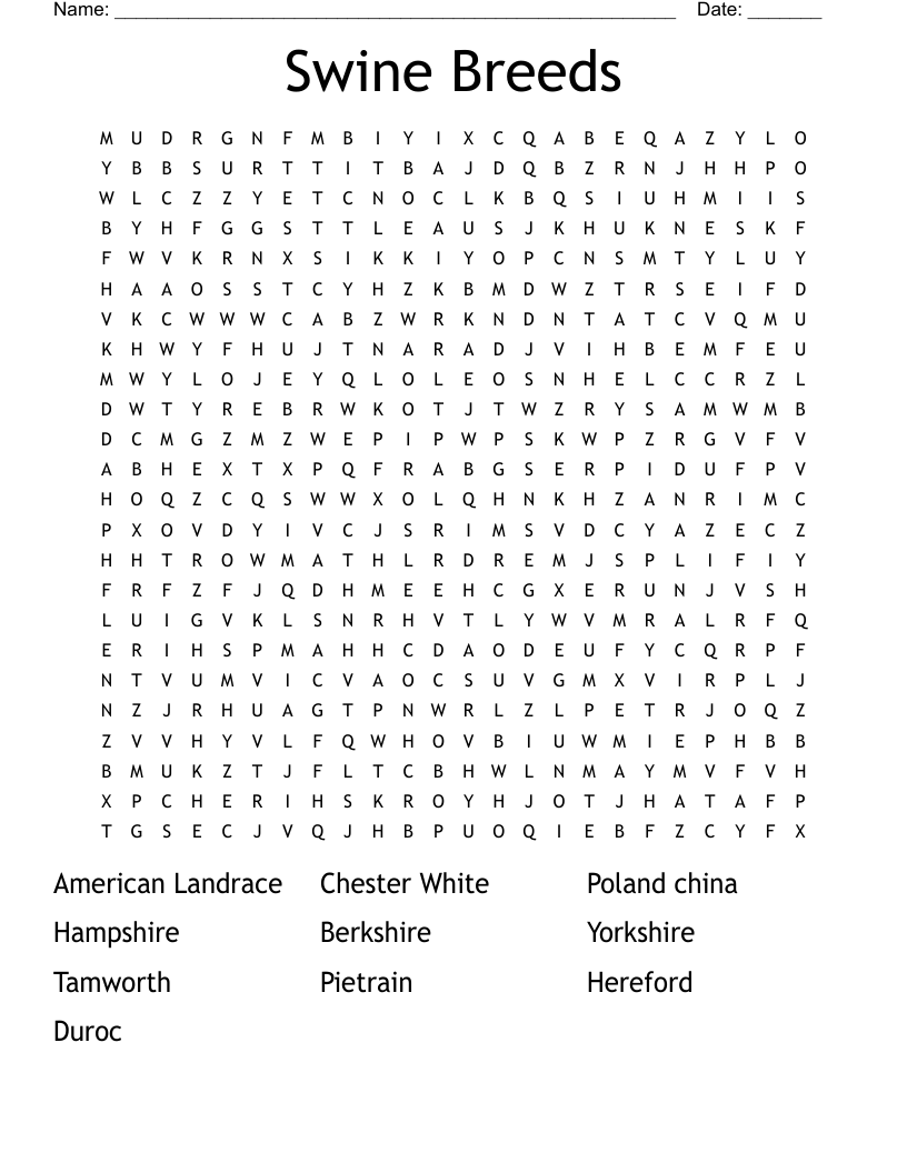 Swine Breeds Word Search
