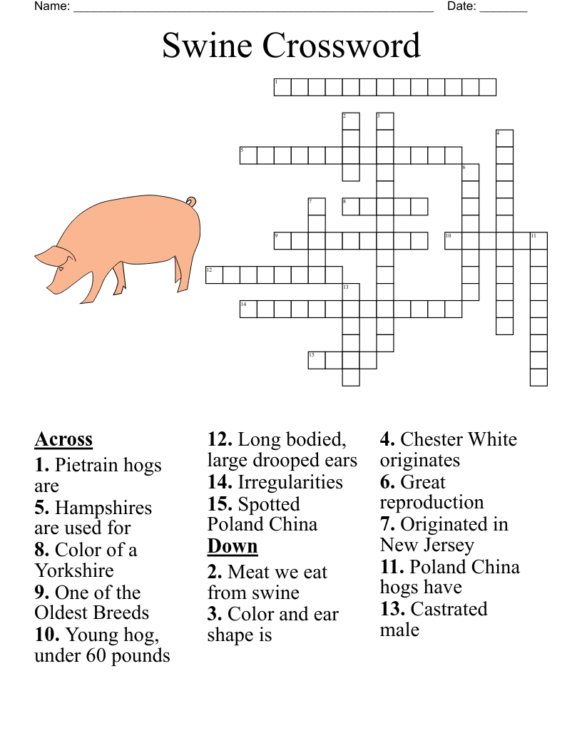 Swine Crossword 