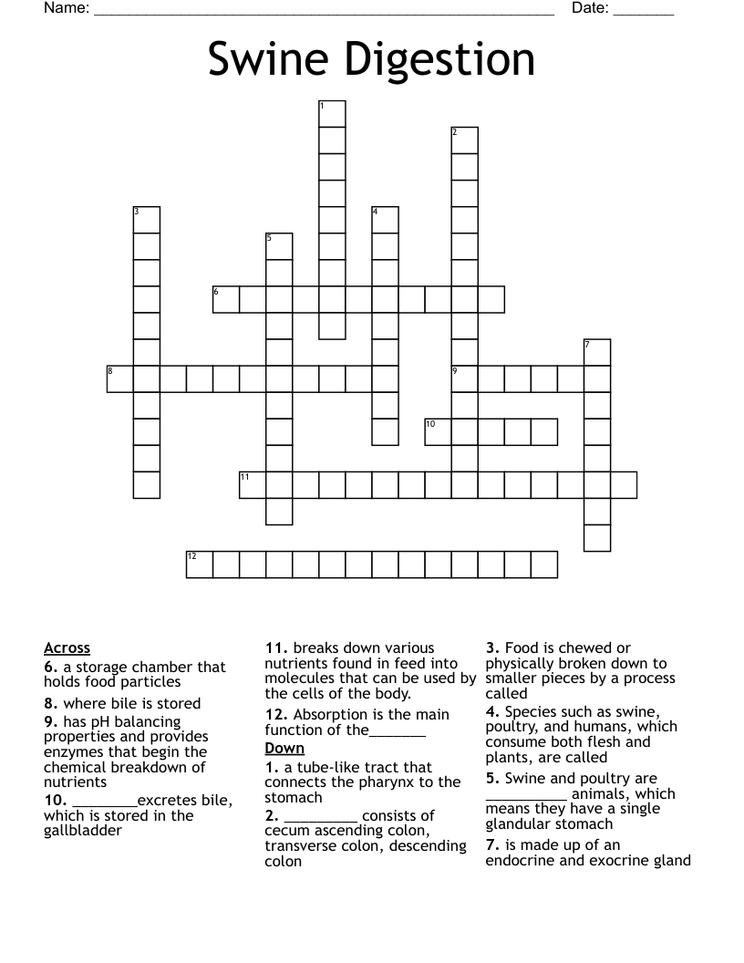 Swine Digestion Crossword