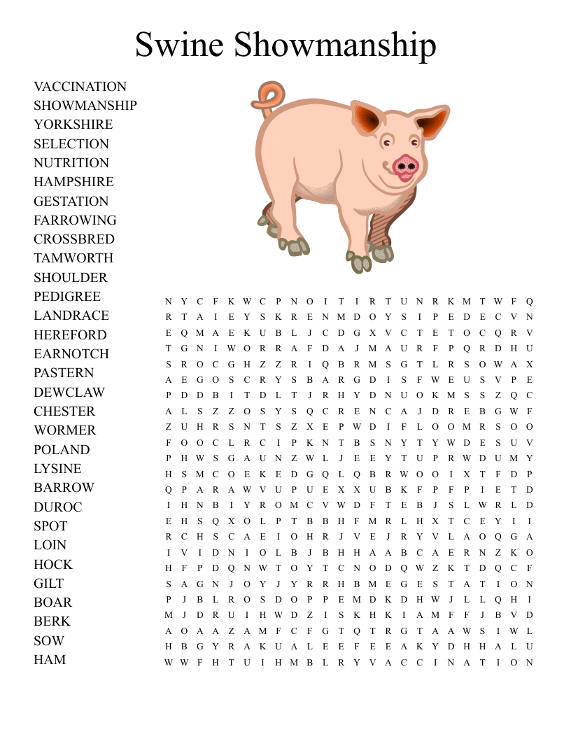 Swine Showmanship Word Search