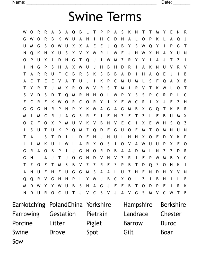 Swine Terms Word Search