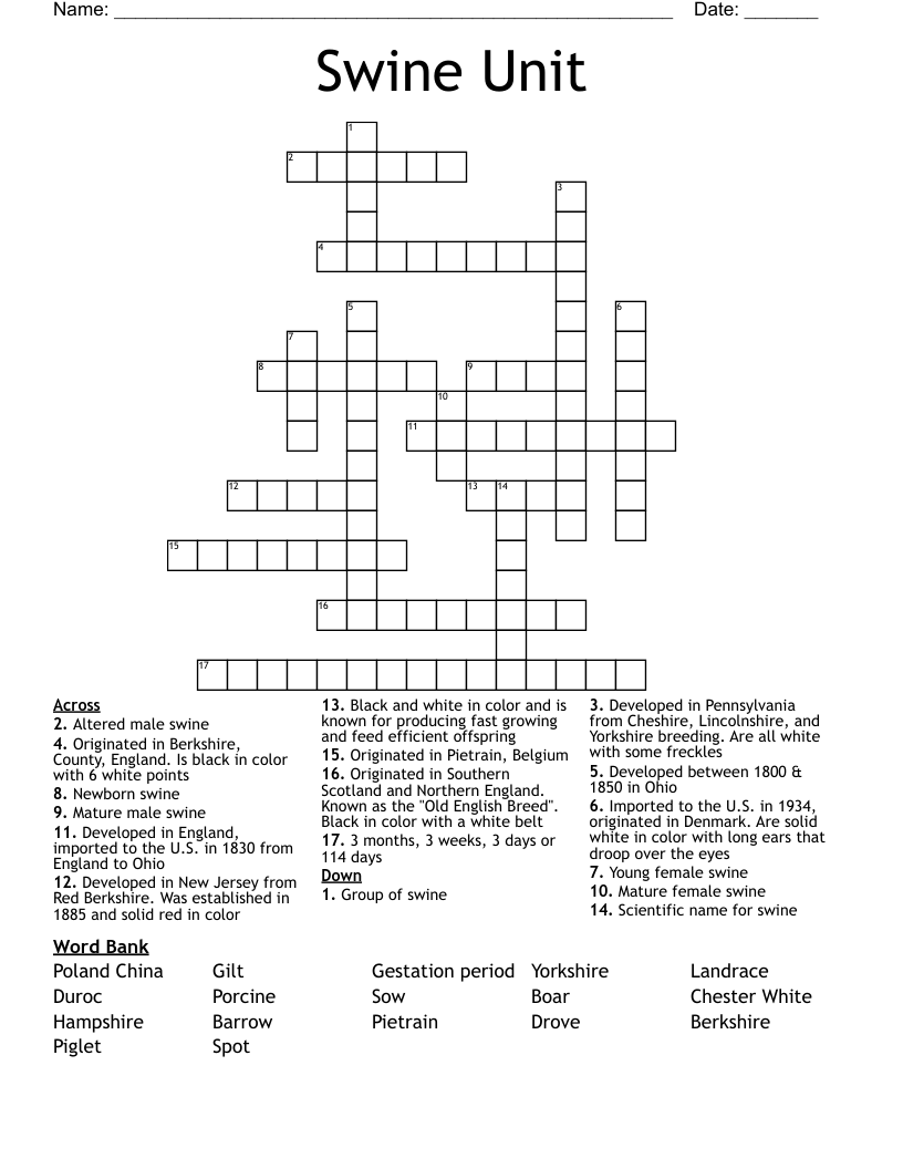 Swine Unit Crossword
