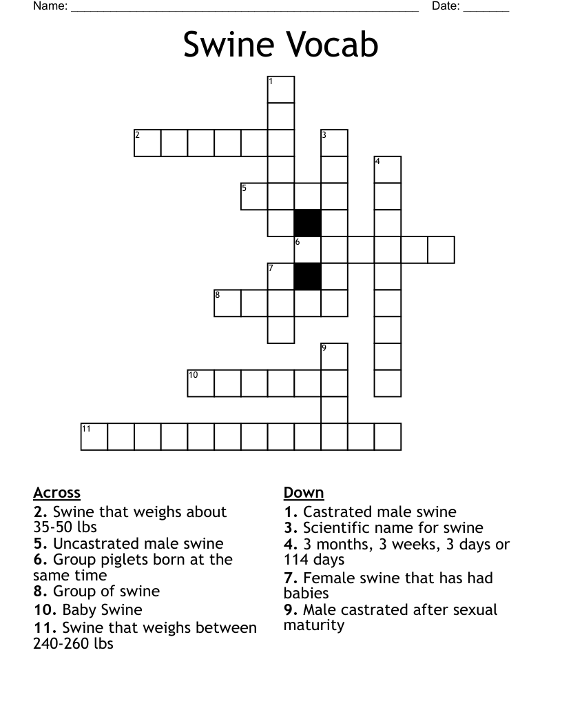 Swine Vocab Crossword