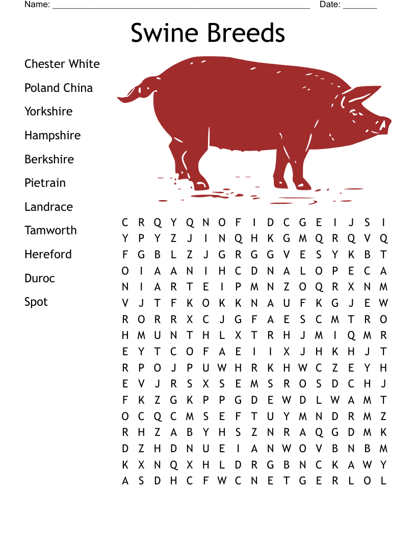 Swine Breeds Word Search