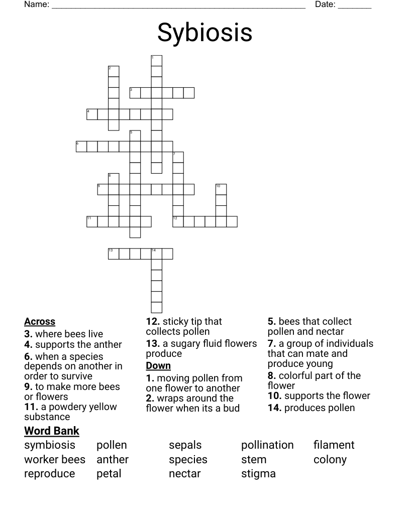 Sybiosis  Crossword
