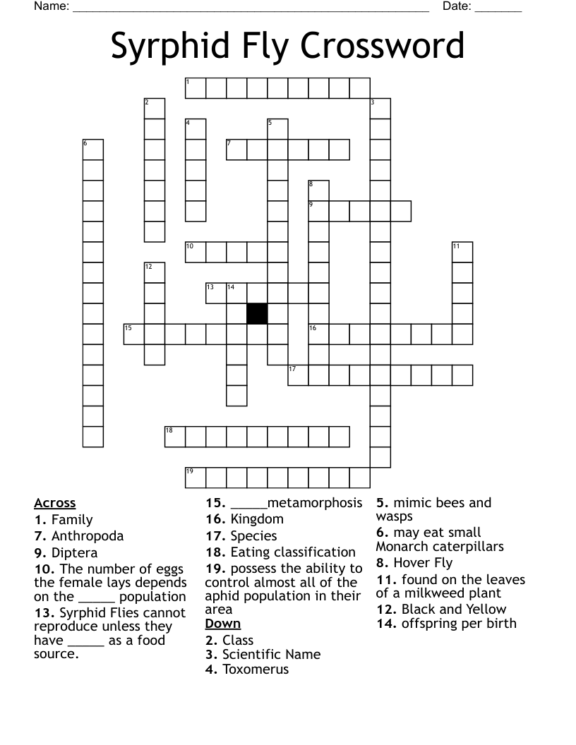 Syrphid Fly Crossword