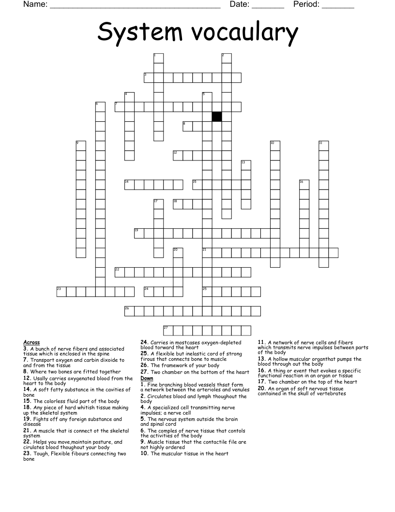 System vocaulary Crossword