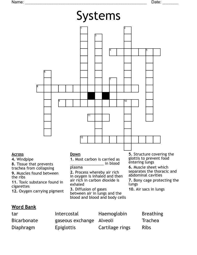 Systems Crossword