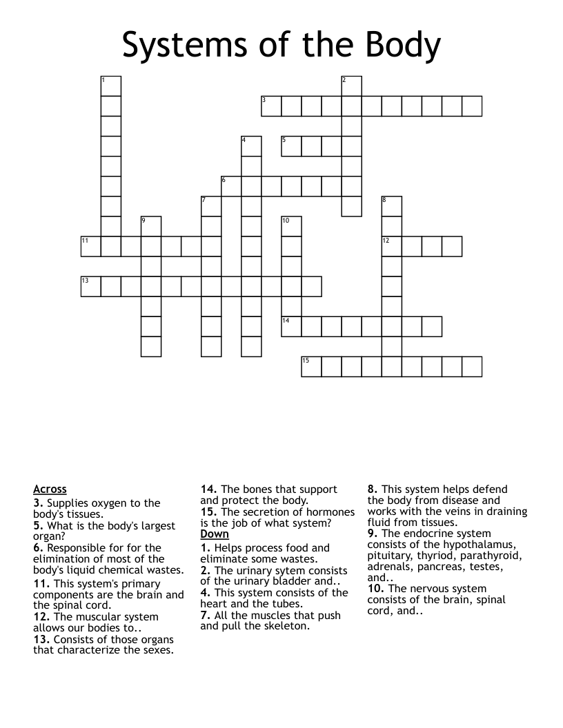 Systems of the Body Crossword