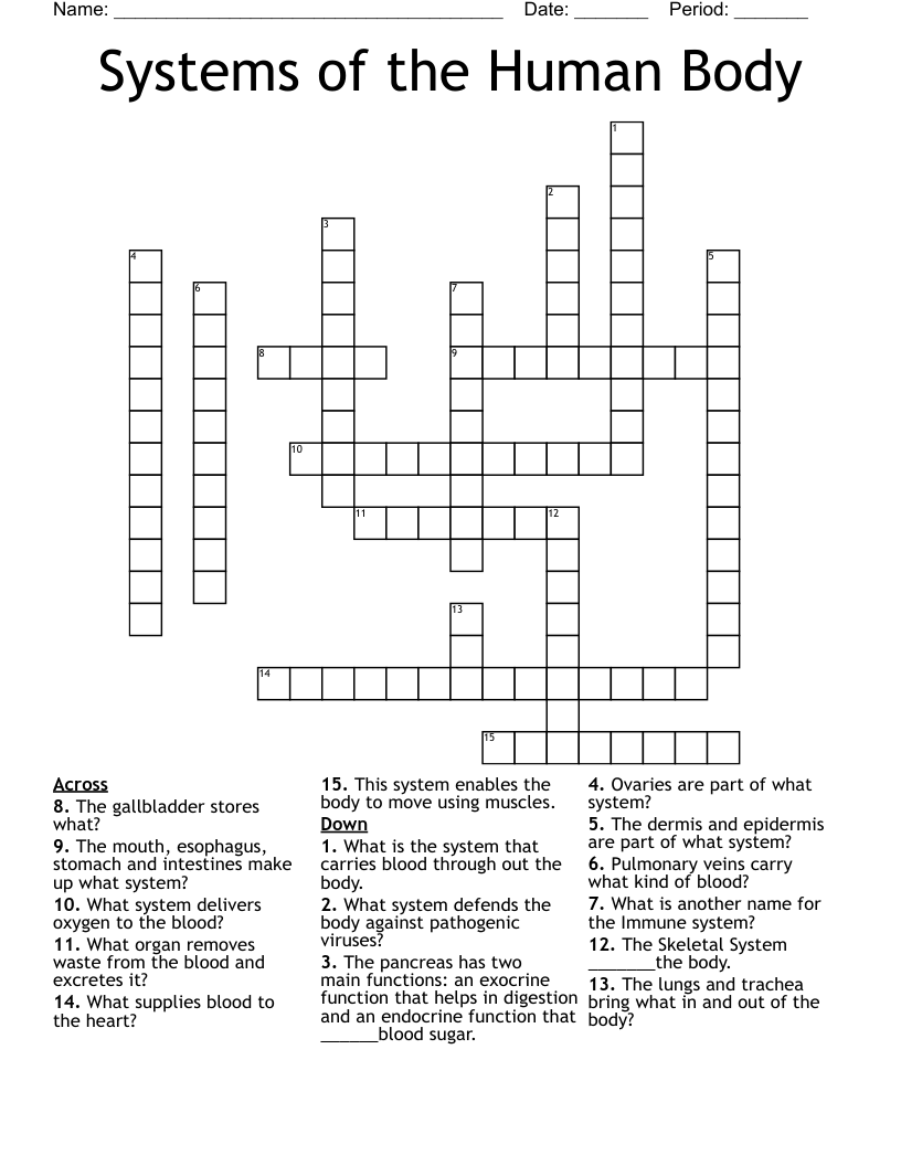 Systems of the Human Body Crossword