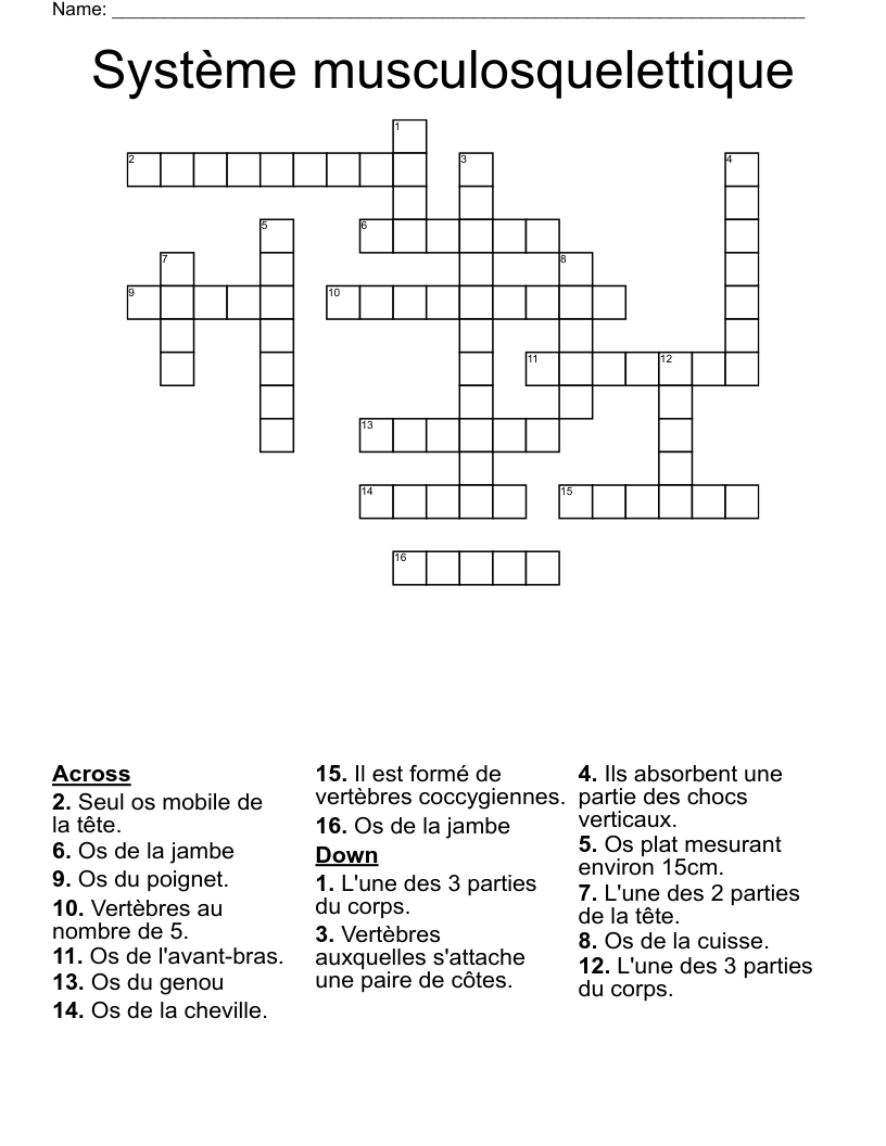 Système musculosquelettique Crossword