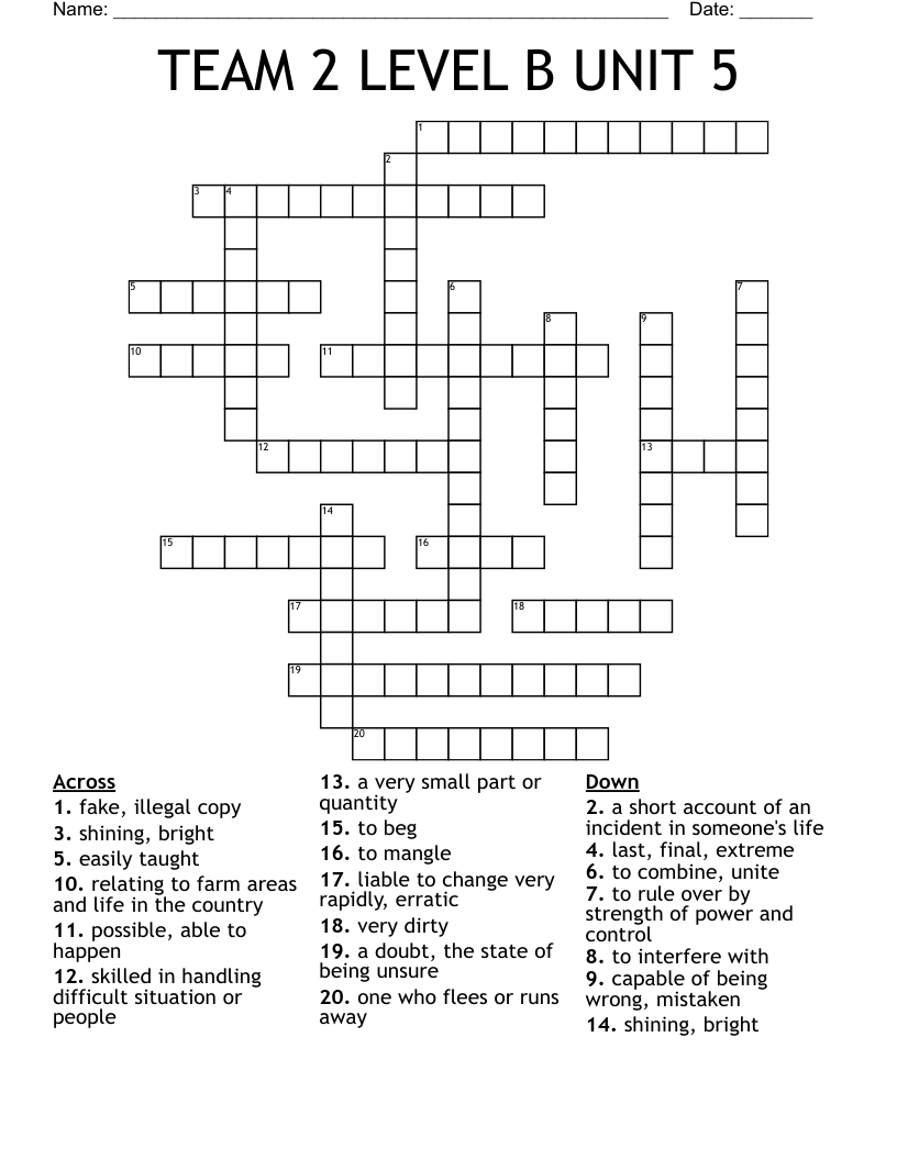 TEAM 2 LEVEL B UNIT 5 Crossword