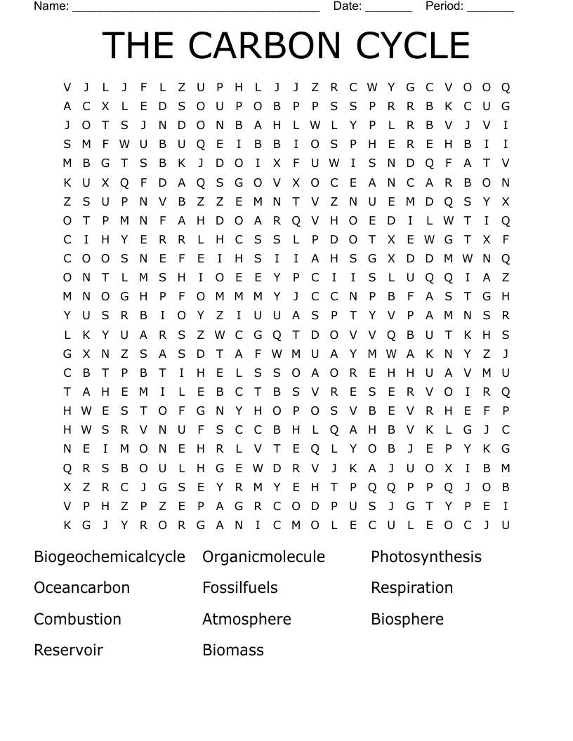 THE CARBON CYCLE Word Search